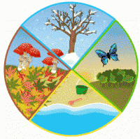 /album/www-vocabulaire-com/f11-gif/